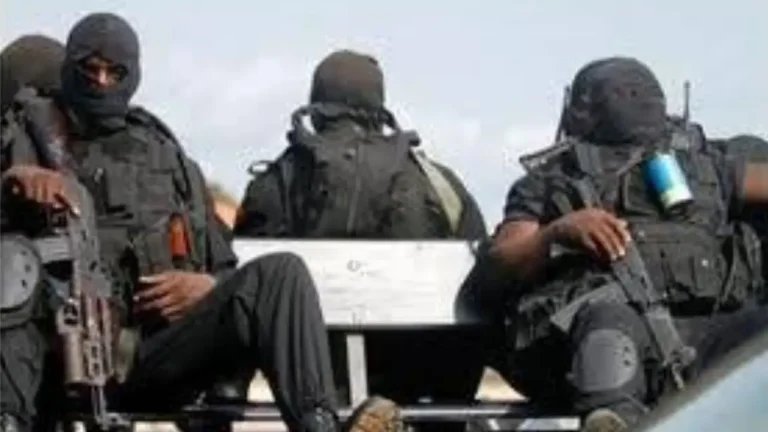 Apresentação-síntese do Plano Estratégico de Segurança Pública Urbana e Rural (PESPUR) [OBS: ARTIGO INICIAL]